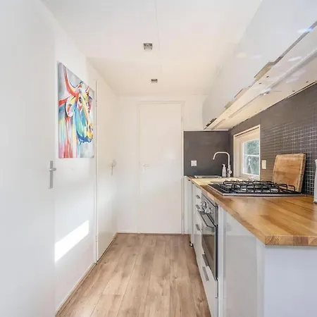 Moderne, Gezellige In Rustige Omgeving Chalet
